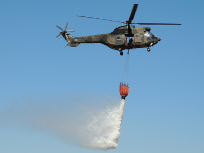 Carel Scheepers - Oryx_Bambi_bucket_400x300 Carel Scheepers - Oryx_Bambi_bucket_400x300